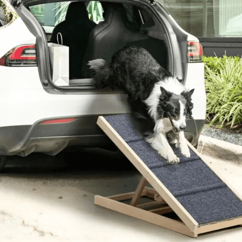 HuskyHaven™ Premium Pet Ramp
