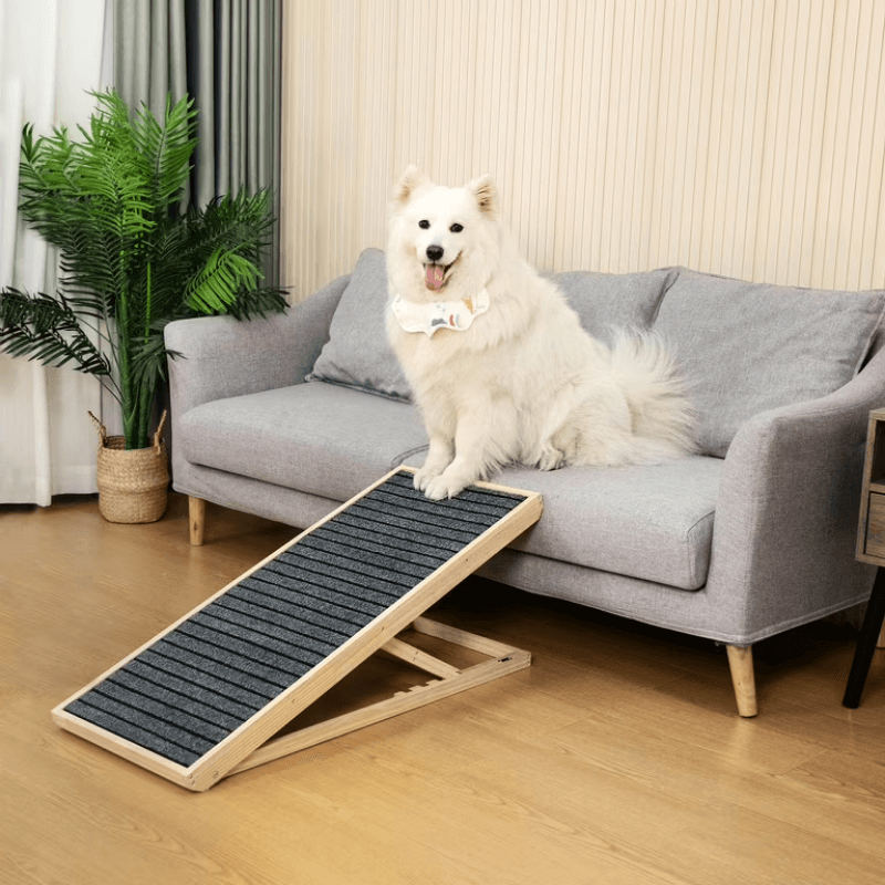 HuskyHaven™ Premium Pet Ramp