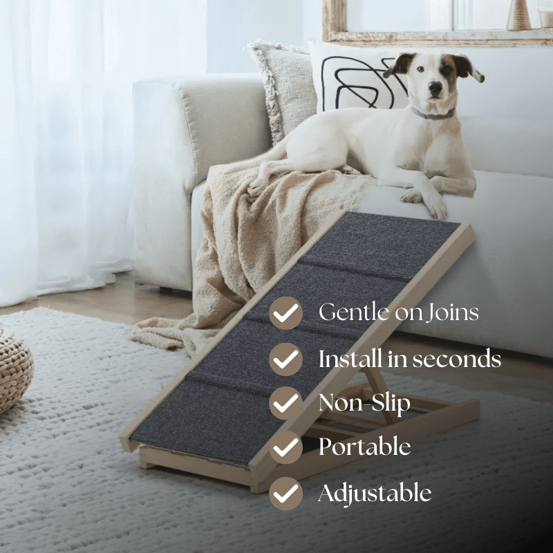 HuskyHaven™ Premium Pet Ramp