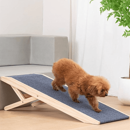 HuskyHaven™ Premium Pet Ramp